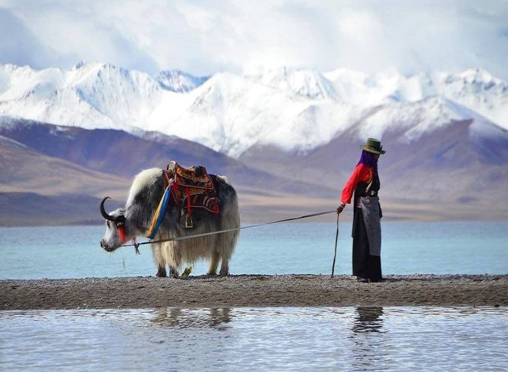 Himalayan landscape with trees